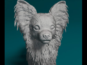 Papillon dog Modèles 3D en vedette