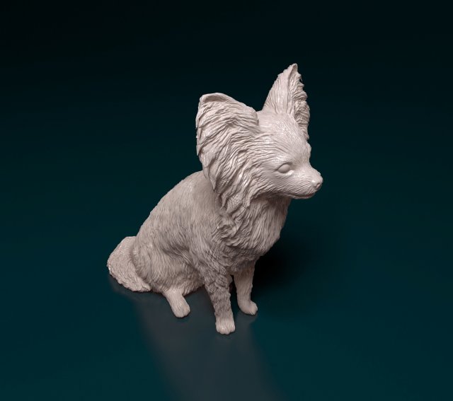 Papillon dog sitting Model Cetak 3D .c4d .max .obj .3ds .fbx .stl .blend 