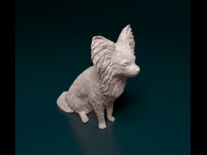 Papillon dog sitting 3D Print Model