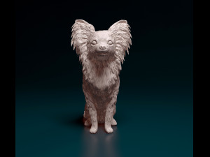 Papillon dog sitting Model Cetak 3D