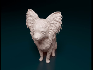 Papillon dog sitting Model Cetak 3D