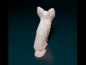 Papillon dog sitting Model Cetak 3D