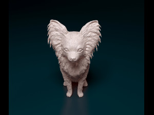 Papillon dog sitting Model Cetak 3D