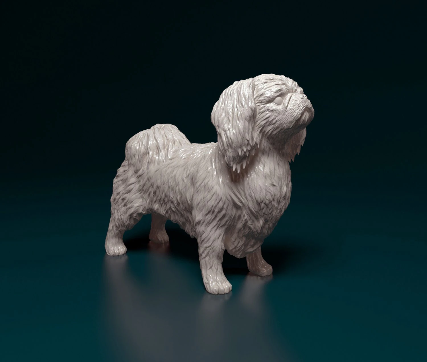 Pekingese dog 3D Print Model .c4d .max .obj .3ds .fbx .stl .blend