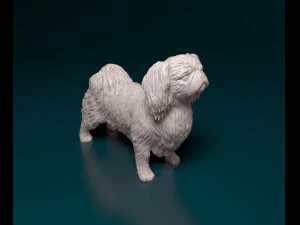 Pekingese dog 3D Print Model
