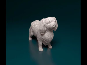 Pekingese dog 3D Print Model
