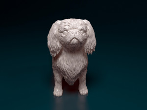 Pekingese dog 3D 打印模型