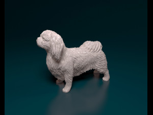Pekingese dog 3D 打印模型
