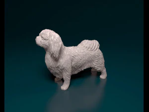 Pekingese dog 3D Print Model
