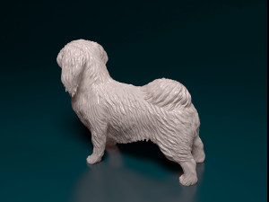 Pekingese dog 3D 打印模型