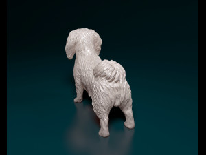 Pekingese dog 3D 打印模型