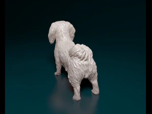 Pekingese dog 3D Print Model