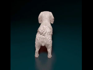 Pekingese dog 3D Print Model