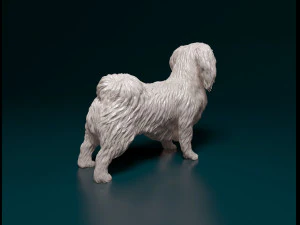 Pekingese dog 3D Print Model
