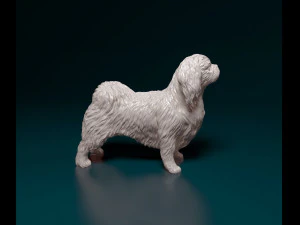 Pekingese dog 3D Print Model