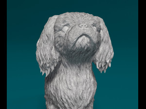 Pekingese dog 3D 打印模型
