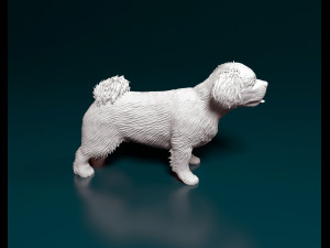 Pekingese dog 3D Принт Модель