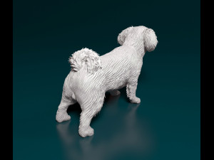 Pekingese dog 3D Принт Модель