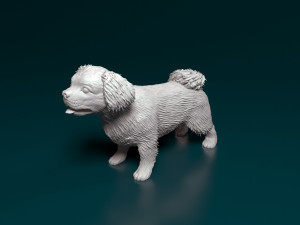 Pekingese dog 3D Принт Модель