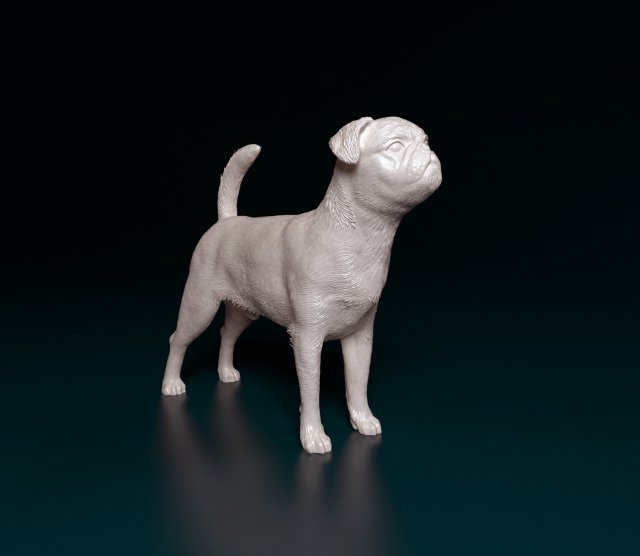 Petit Brabanson Modelo de impresión 3D .c4d .max .obj .3ds .fbx .stl .blend 