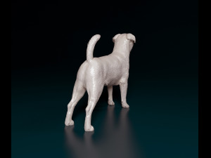 Petit Brabanson Modelo de impresión 3D