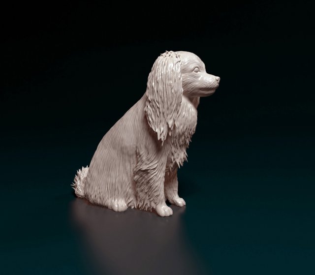Phalene dog sitting Modello di stampa 3D .c4d .max .obj .3ds .fbx .stl .blend 