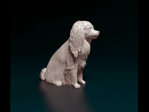 Phalene dog sitting 3D Print Model