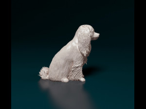 Phalene dog sitting Modello di stampa 3D