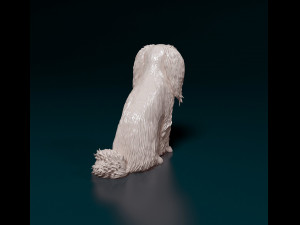 Phalene dog sitting Modello di stampa 3D
