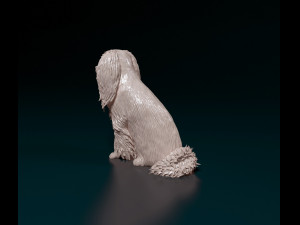 Phalene dog sitting Modello di stampa 3D
