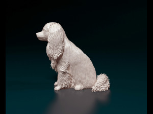 Phalene dog sitting Modello di stampa 3D