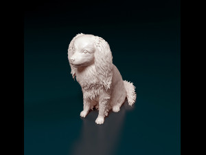 Phalene dog sitting Modello di stampa 3D