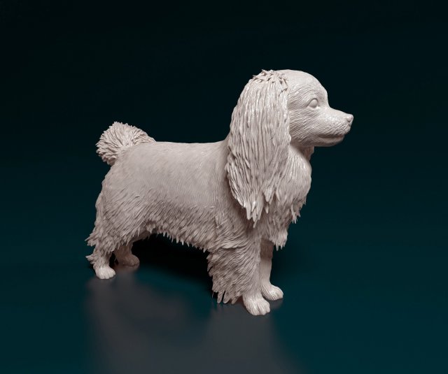 Phalene dog Modelo de impresión 3D .c4d .max .obj .3ds .fbx .stl .blend 