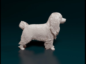 Phalene dog Modelo de impresión 3D