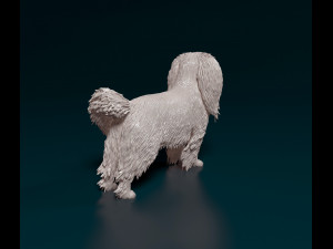 Phalene dog Modelo de impresión 3D
