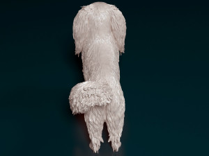 Phalene dog Modelo de impresión 3D