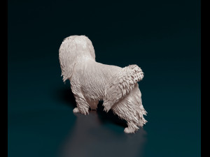 Phalene dog Modelo de impresión 3D