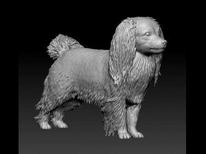 Phalene dog Modelo de impresión 3D