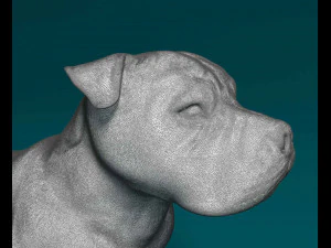 Pitbull 3D Print Model