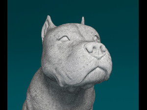 Pitbull sitting 3Dプリントモデル