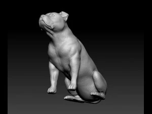 Pitbull sitting 3D Print Model