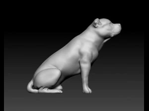 Pitbull sitting 3D Print Model