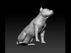 Pitbull sitting 3D Print Model
