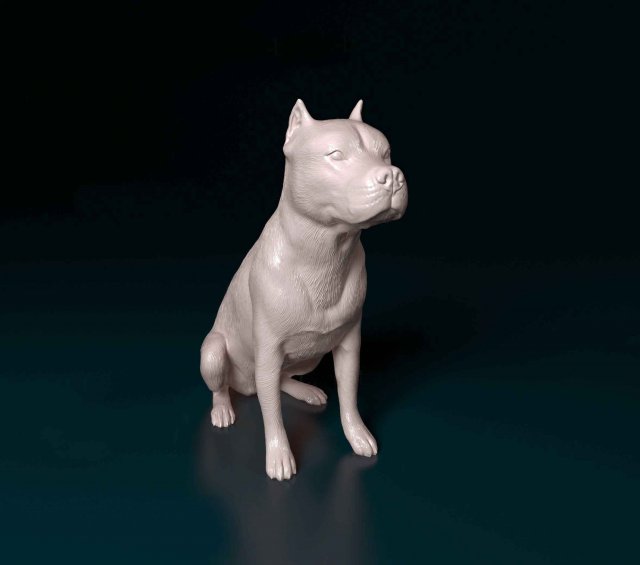 Pitbull sitting 2 3D Print Model .c4d .max .obj .3ds .fbx .stl .blend 