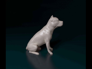 Pitbull sitting 2 3D Print Model