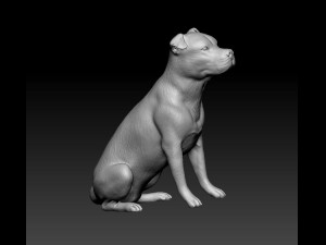 Pitbull sitting 2 3D Print Model