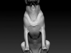 Pitbull sitting 2 3D Print Model