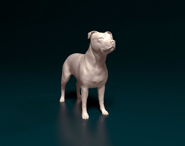 Pitbull 2 3D Принт Модель .c4d .max .obj .3ds .fbx .stl .blend 