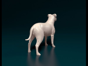 Pitbull 2 3D Принт Модель