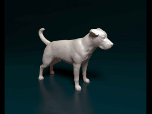 Pitbull 3 3D Print Model
